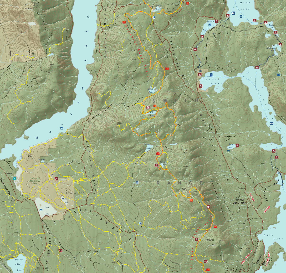 Lewis Lake & Walt Hill trail map